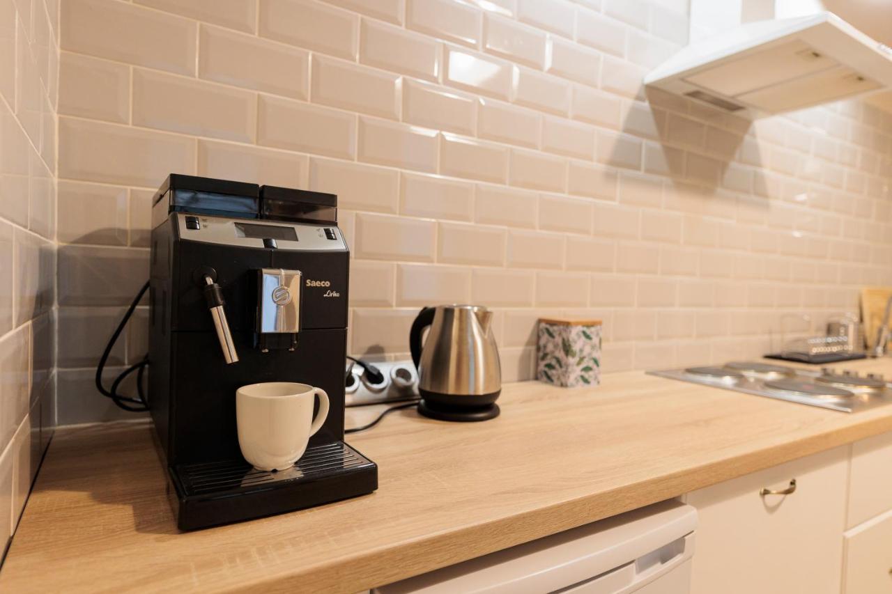 Cozy Apartment In The Historical City Center Тимишоара Экстерьер фото