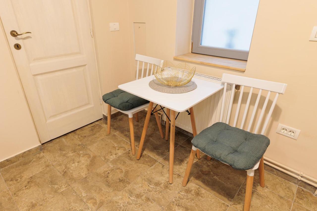 Cozy Apartment In The Historical City Center Тимишоара Экстерьер фото